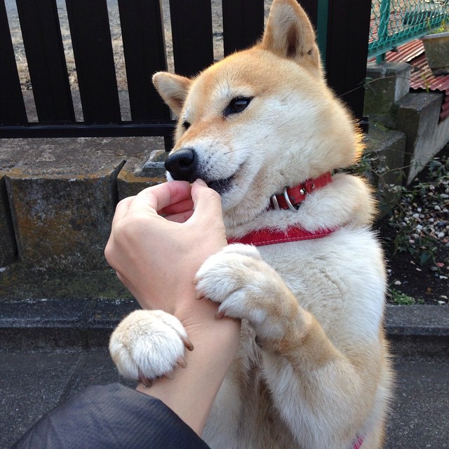 足球联赛多地开战拉动城市人气,足球联赛开始